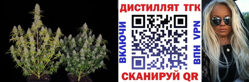 Купить  Кировск  Дистиллят ТГК вейп с тгк 