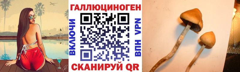 Галлюциногенные грибы Magic Shrooms  Купить  Кировск 