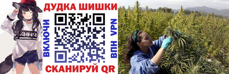 Марихуана Amnesia  Купить закладки  Кировск 